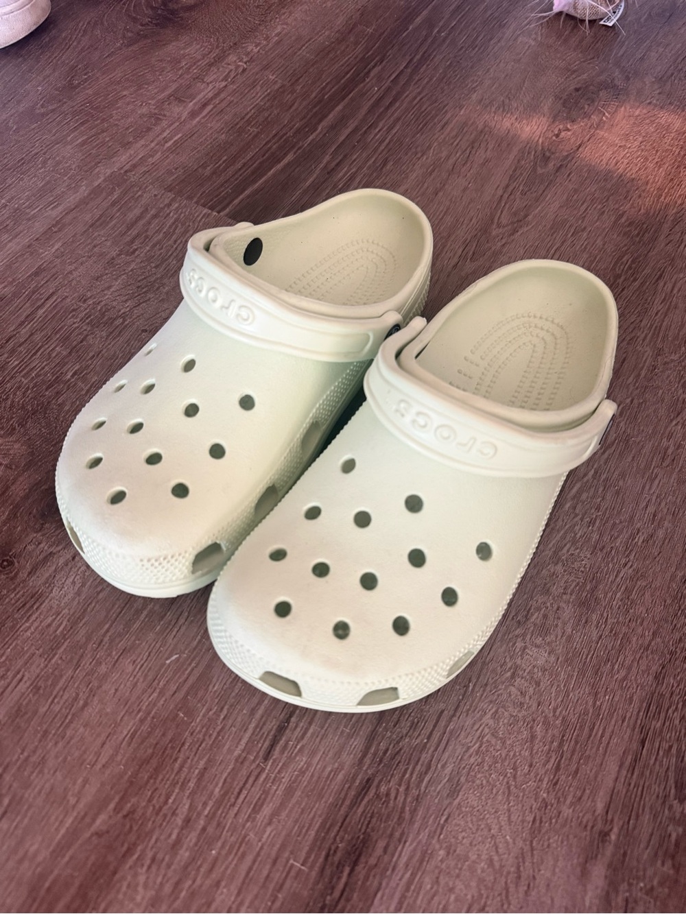 CROCS Classic Clog in Celery